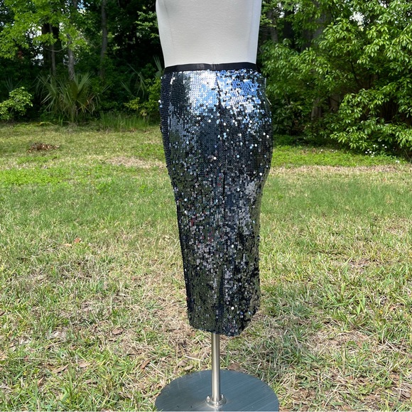 3/$30 NWT Sequin Midi Skirt - Picture 2 of 5
